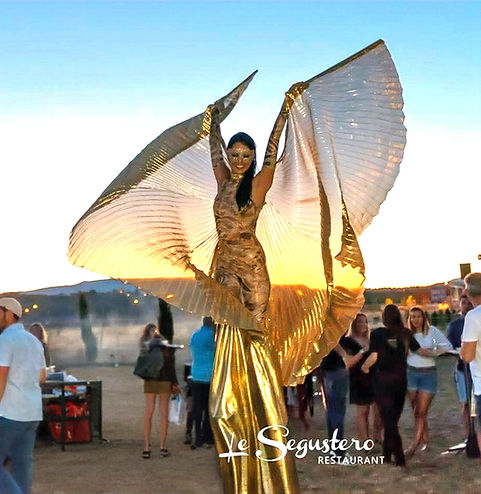 farah echasses segustero_edited_edited.jpg