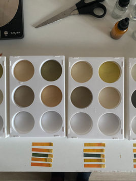 Week Twenty-Six: Spring Equinox Reflections