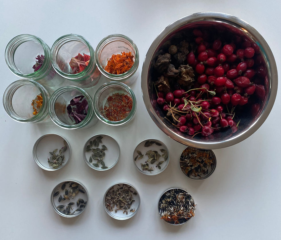 Organising Plant Matter