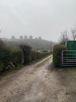 Week Twenty: Natural Dye Workshop at Bloom Sheffield