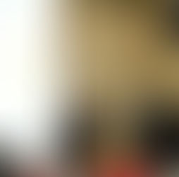 현장의 답답함, 정책으로 푼다: 질의응답 및 변화를 위한 국민청원
