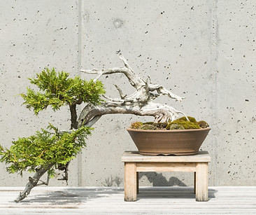 interior design landscape.jpg