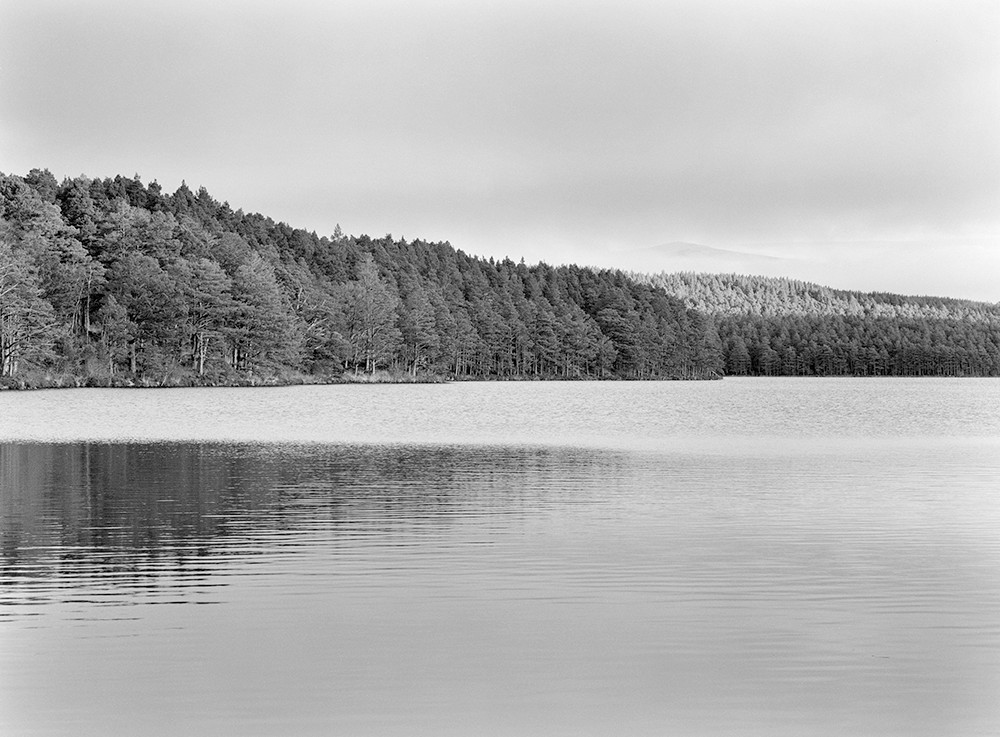 Lochan Eilean, Cairngorms