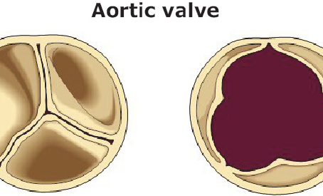 It's Medical Monday!