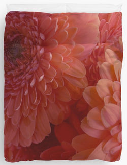 BLOOMING BLOOD ORANGE KILLER KARNATIONS