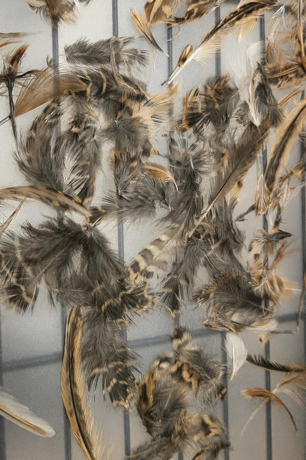 Natural Quail Feathers for Crafting & Jewelry Making