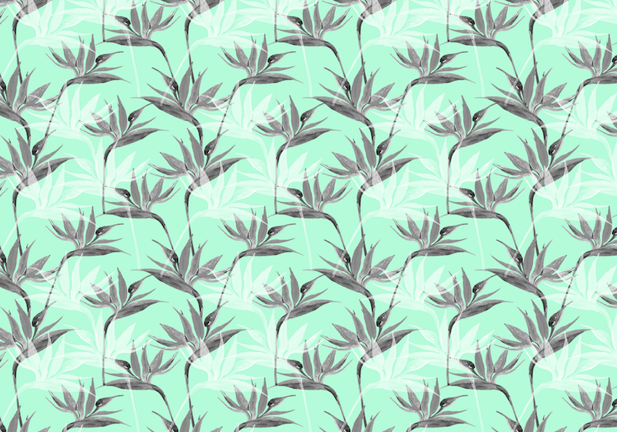 502 aqua birds of paradise small screen