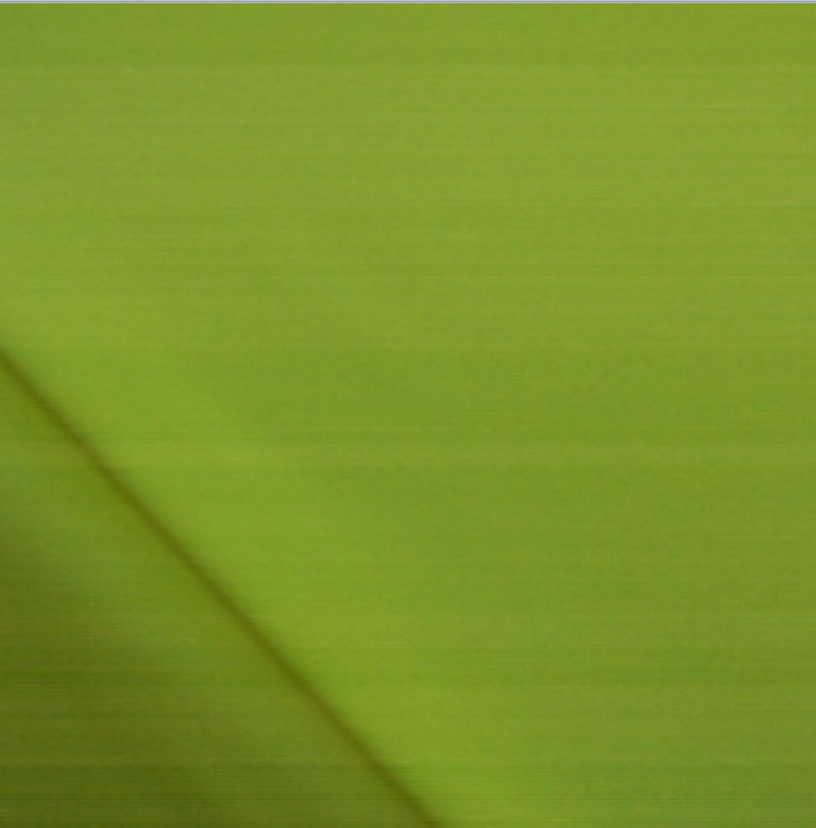 454 apple green Matte
