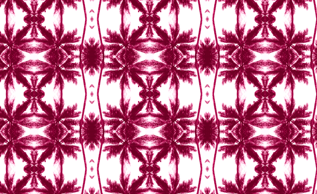499 wine palms