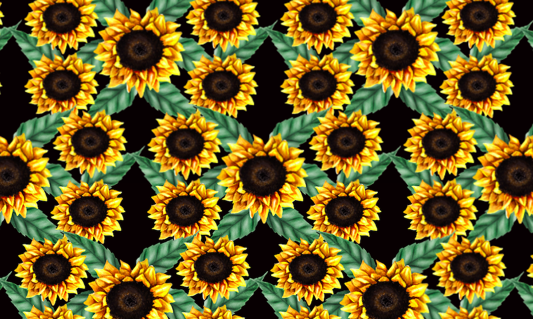 485 sunflower