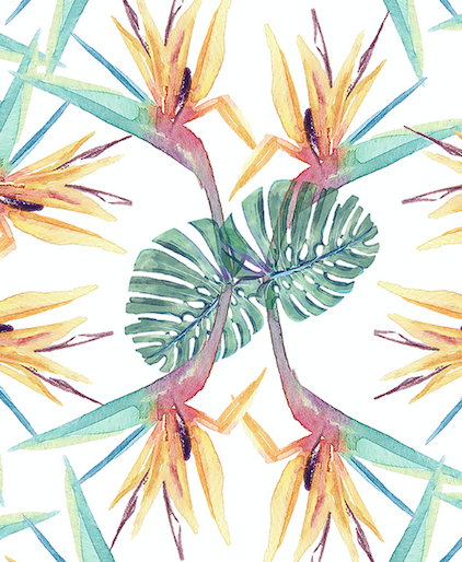 385 birds of paradise white swatch