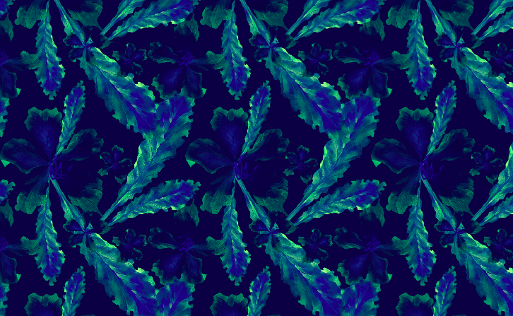 501 blue floral screen shot