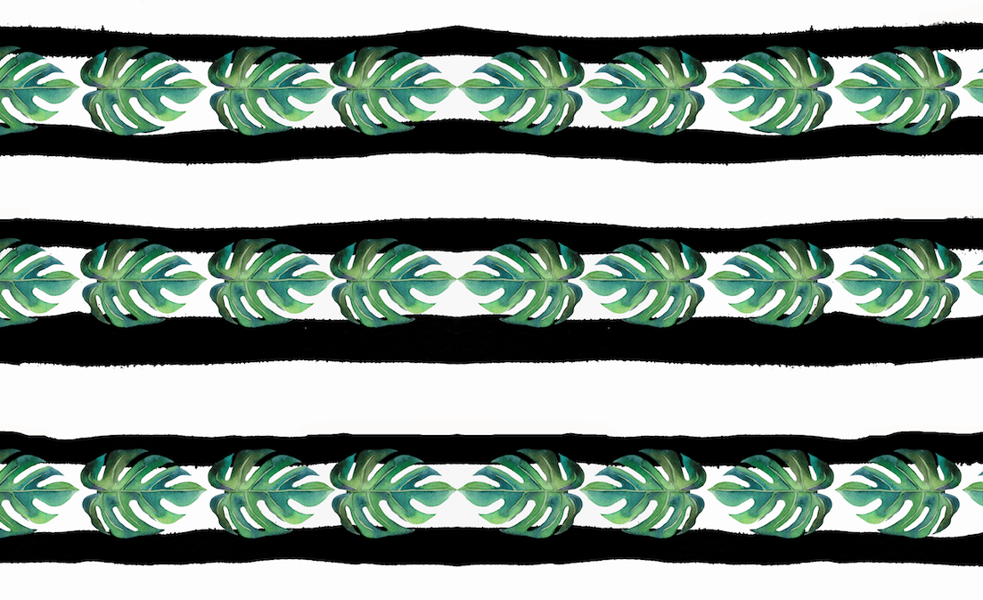 475 Monstera on Painted Black Stripe