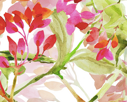 495 spring watercolor blooms