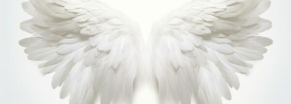 angel wings_edited.jpg