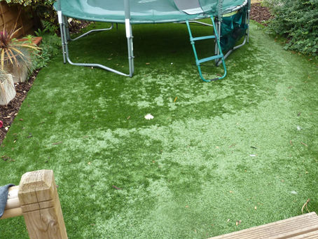 The Green Choice: Why Real Live Sod Triumphs Over Artificial Turf in Florida