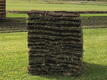 Why We Choose Sand Bottom Sod Instead of Muck Bottom Sod for Central Florida Homeowners