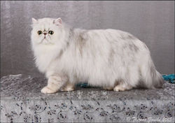 4th FEMALE OF THE YEAR