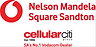 CellularCity.png