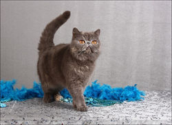 7th FEMALE OF THE YEAR