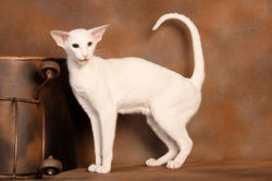 8th Female of the Year 2019