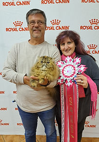 WhatsApp Image 2023-05-20 at 20.27.49 (1).jpeg