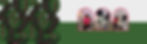 Website & You Tube headers_edited.jpg