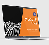 ff online download.png