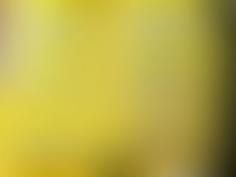 Kolory Pantone a druk na tkaninie - czy mogą się różnić?