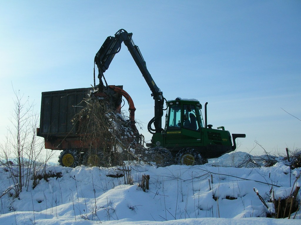 Dienstleistungen | forst