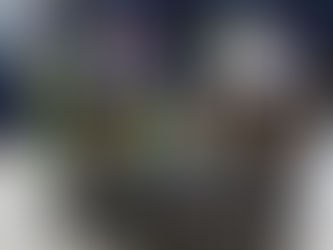 ハニーグリップ