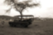 AdobeStock_194978.jpeg