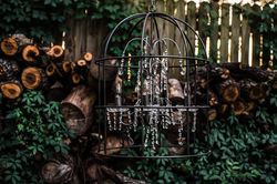 Farmhouse Chandelier
