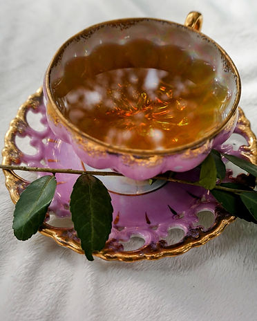 American tea cup with healthy green organic yaupon tea