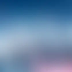 Bank Asset – Liability Management Approach in times of Extreme Uncertainty: A Guide for ALCO Chairs