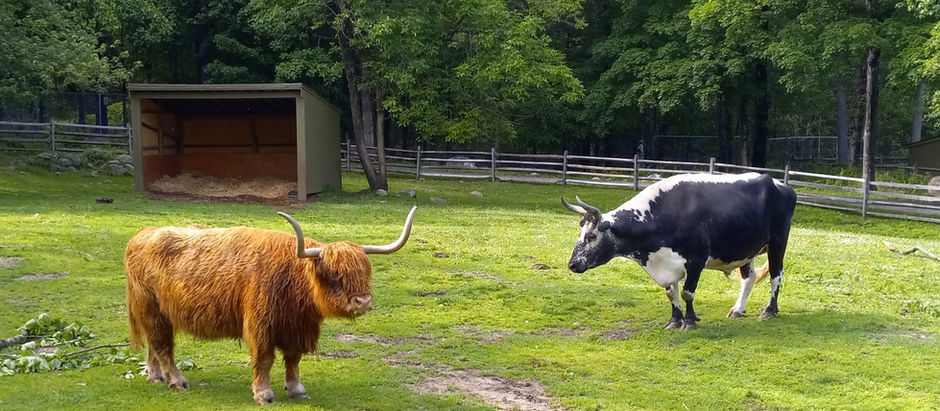 Enjoy your visit to the Stamford Museum and Nature Center!