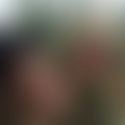 Kültürlerarası Diyalogun Yolculuğu: Ang Lee Sineması