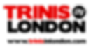 MAIN-LOGO (1).png