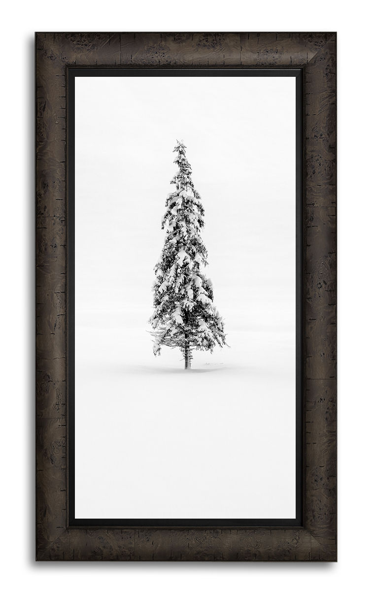 Thumbnail: Winter's Solace