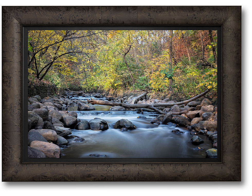 Thumbnail: Fall Along the Creek