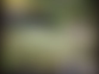 Impressions of Monet