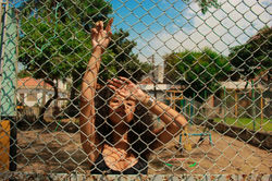 IMG-20180123-WA0017_preview