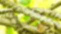 5-34.jpgw3.webp
