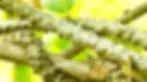 5-34.jpgw3.webp