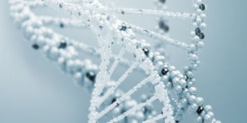 Neue Hoffnung zur (Früh-)Erkennung von Tumorerkrankungen: Liquid Biopsy