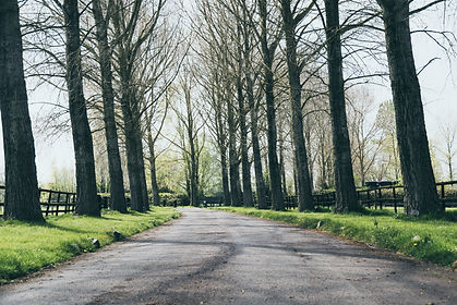 Stretcholt High Res Final_-18.jpg