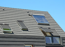 shutterstock_563870605 (1).jpg