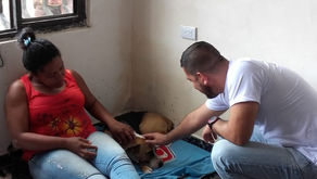 Jornada de esterilización canina y felina