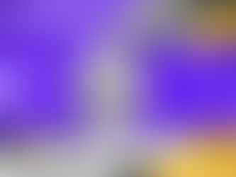 Participantes oficiales del PV2024 - Parte 2