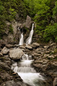 DSC_5674-02.jpeg